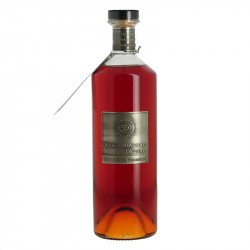 Bas ARMAGNAC DELORD XO Premium 70 cl 40°