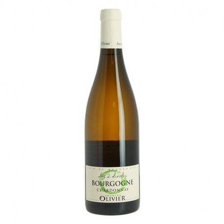 Bourgogne Blanc Les 2 DINDES 2021 Chardonnay par Antoine Olivier 75 cl