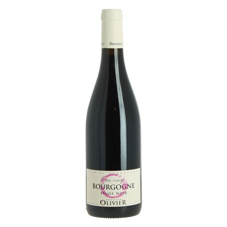 PINOT NOIR Côte ROUGE 2021 Bourgogne Rouge par ANTOINE OLIVIER
