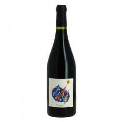 FRONTON Cuvée DON QUICHOTTE domaine Le Roc