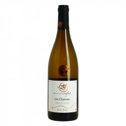 Coteaux du GIENNOIS Blanc 2022 Les CHARMES par le Domaine LANGLOIS 75 cl