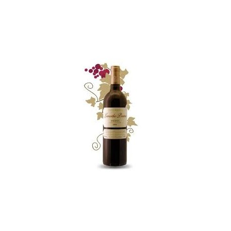 Château LAMOTHE PONTAC Vin du Médoc demi-bouteille 37.5 cl 