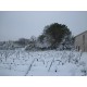 Châteauneuf du Pape du domaine du Père Caboche Vin Rouge en Magnum 1.5 l