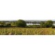Saumur Champigny Lisagathe Vin Rouge par le Château du Hureau