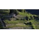 Cornas les Grandes Terrasses 2016 Vin Rouge par Paul Ainé Jaboulet