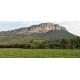 DOMAINE DE L'HORTUS GRANDE CUVEE ROUGE PIC SAINT LOUP PAR JEAN ORLIAC