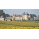 Château d'YQUEM 2006 SAUTERNES 1er cru supèrieur 75CL