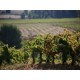 CUVEE ROMAIN PAUC CHATEAU LA VOULTE GASPARETS VIN DU LANGUEDOC MAGNUM 1.5 L