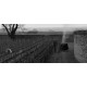 Meursault Domaine Michelot Vin Blanc de Bourgogne 75 cl