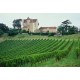 Montus Madiran Vin Rouge du Sud-Ouest par Alain Brumont 2018 75 cl