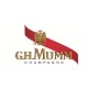 Champagne G H MUMM Cordon Rouge MAGNUM