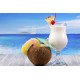 COFFRET SOIREE PINA COLADA QUAI SUD